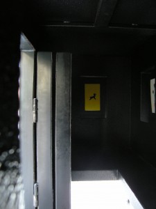 Interior, with Winter Yellow Deer, November 2010