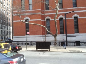 March 5, 2014 | Outside the Armory | 1:19:20 PM