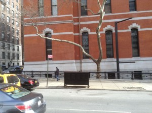 March 5, 2014 | Outside the Armory | 1:19:24 PM