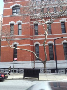 March 5, 2014 | Outside the Armory | 1:19:42 PM