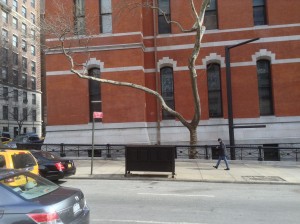 March 5, 2014 | Outside the Armory | 1:19:21 PM