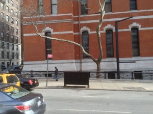 March 5, 2014 | Outside the Armory | 1:19:25 PM