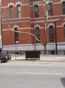 03-05-14 | Outside the Armory | 1:19:33 PM