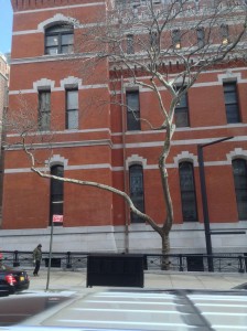 March 5, 2014 | Outside the Armory | 1:19:43 PM